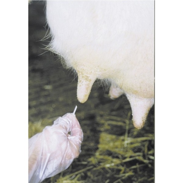 Dreny do strzyków 6 szt. KERBL