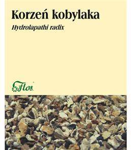 FLOS Kobylak korzeń 50g