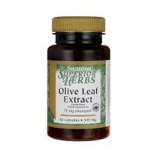 SWANSON Olive leaf extract 500mg 60caps