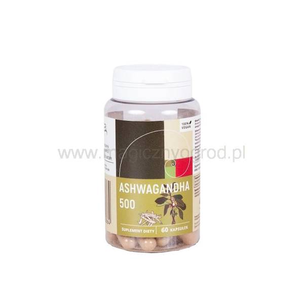 NANGA Ashwaganda 500mg x 60 kapsułek