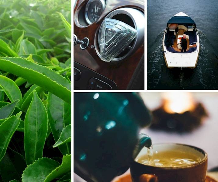 V88ZHE DIAMO GREEN TEA