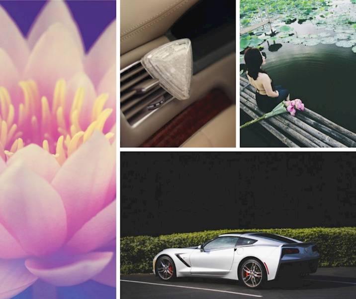 V88LOT DIAMO LOTUS