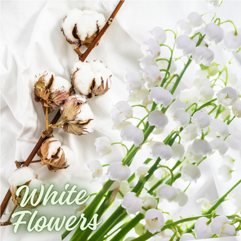 M117FC K2 CAYON WHITE FLOWERS 250ml