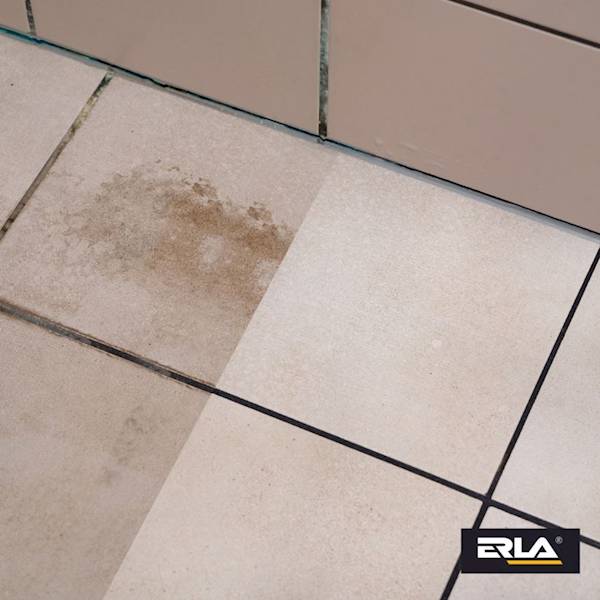 R3011 ERLA SANIZ MAX 750ML ODKAMIENIACZ