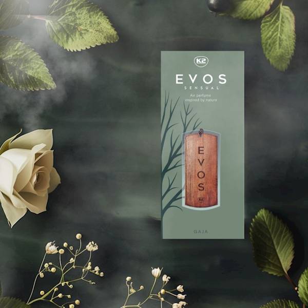 V042 K2 EVOS GRACE GAIA zawieszka