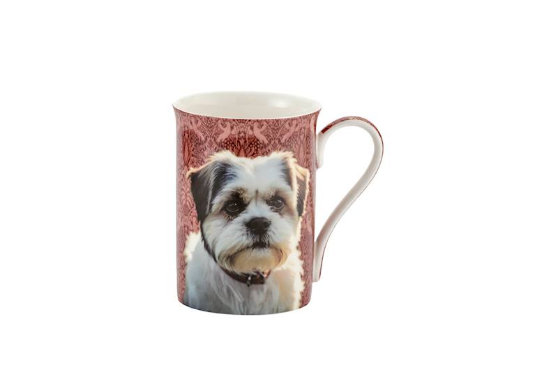Kubek 115-9929 Shih tzu 350ml