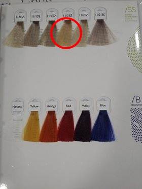 AE Farba Technofruit Color 11/3 SS 100ml