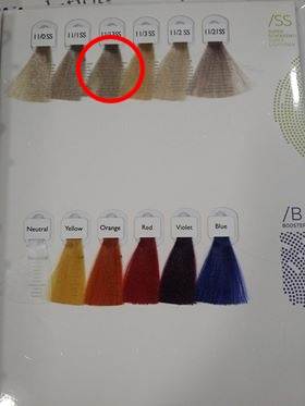 AE Farba Technofruit Color 11/13 SS 100ml