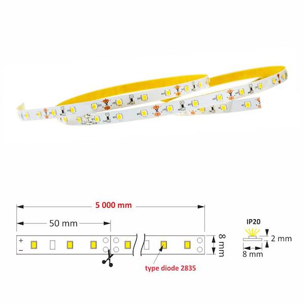 Taśma LED Premium 30W bez żelu IP20 B. Zimny