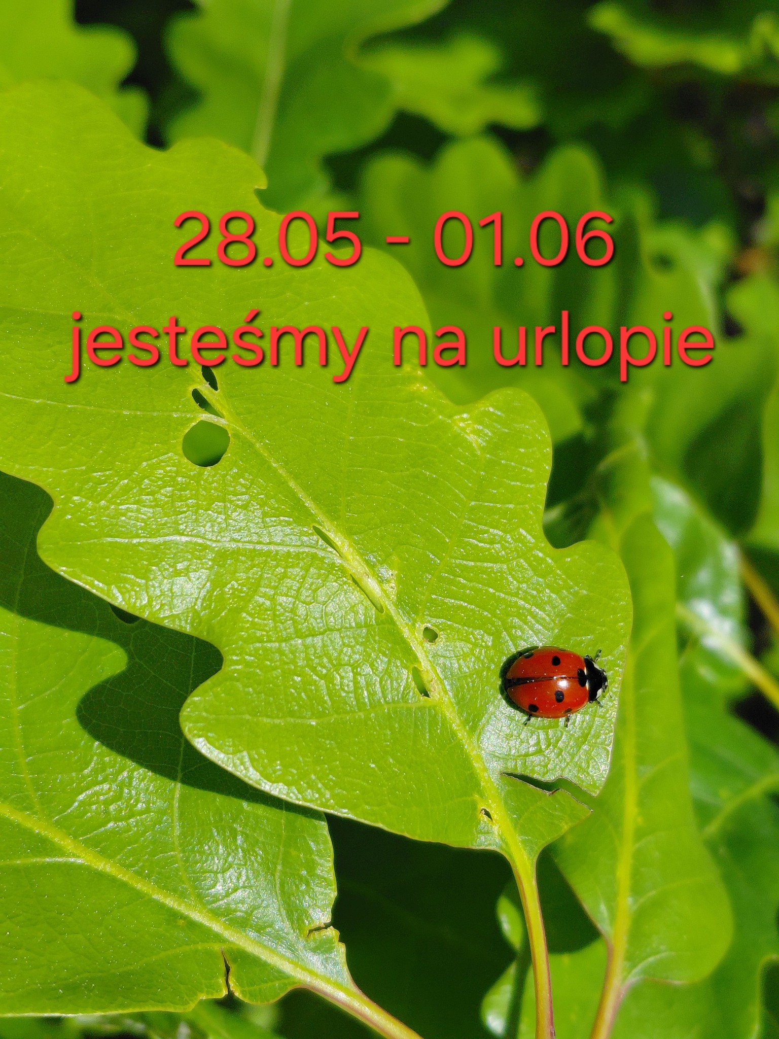 Z Natury Lepsze Mydlarnia