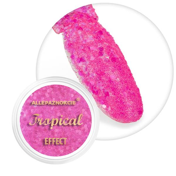 Pyłek do paznokci TROPICAL EFFECT 1g Nr 10