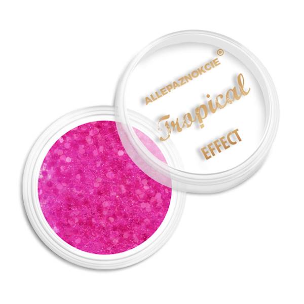 Pyłek do paznokci TROPICAL EFFECT 1g Nr 10