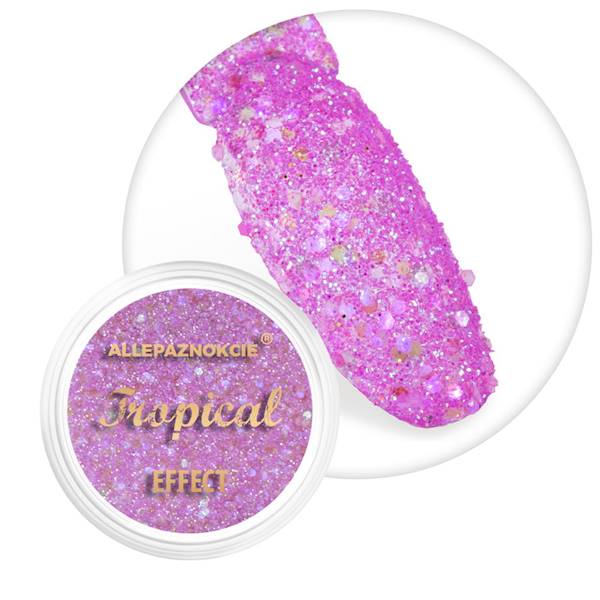 Pyłek do paznokci TROPICAL EFFECT 1g Nr 11