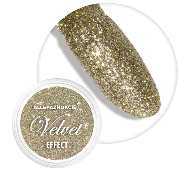 Pyłek do paznokci VELVET EFFECT 1,5 g Nr 05