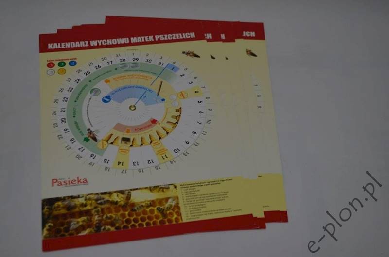 Kalendarz do wychowu matek pszczelich 50590
