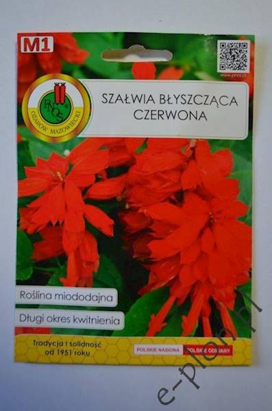 Szałwia błyszczaca Czerwona 0,5g /Ożarów/
