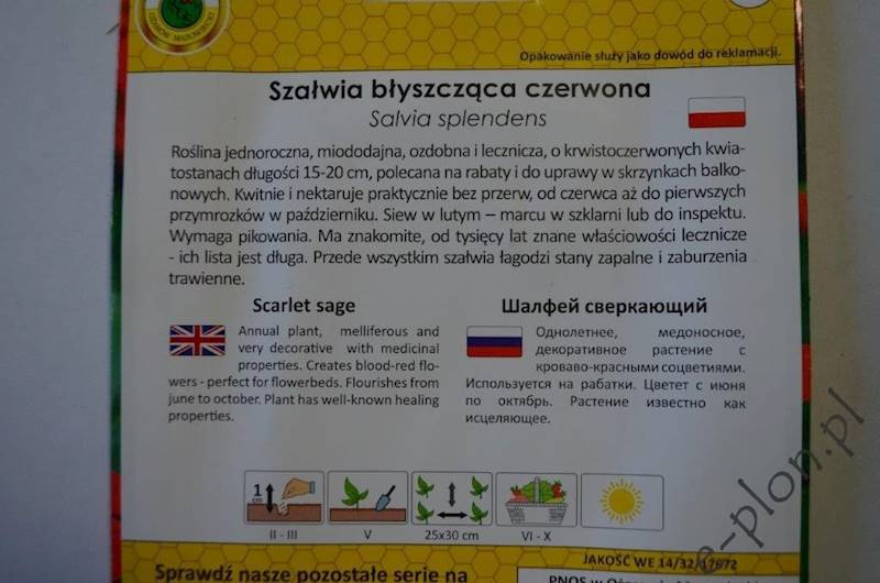 Szałwia błyszczaca Czerwona 0,5g /Ożarów/