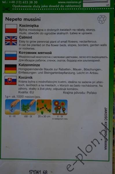 Kocimiętka niebieska 0,5g /Ożarów/