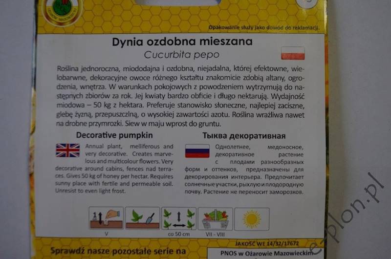 Dynia ozdobna mix. 2g /Ożarów/