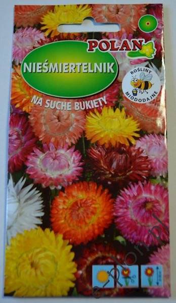 Nieśmiertelnik Kocanka Monstrosum 2g /Pol/