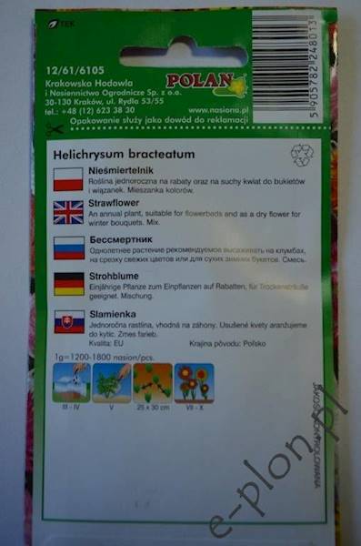 Nieśmiertelnik Kocanka Monstrosum 2g /Pol/