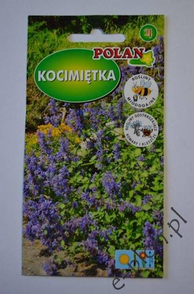 Kocimiętka fioletowa  0,2g /Pol/