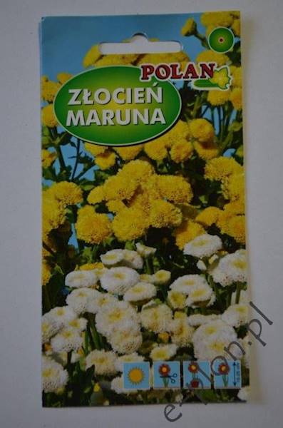 Złocień Maruna 0,1g /Pol/