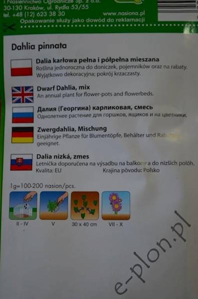 Dalia karłowa pełna i półpełna mieszana 2g /Pol/