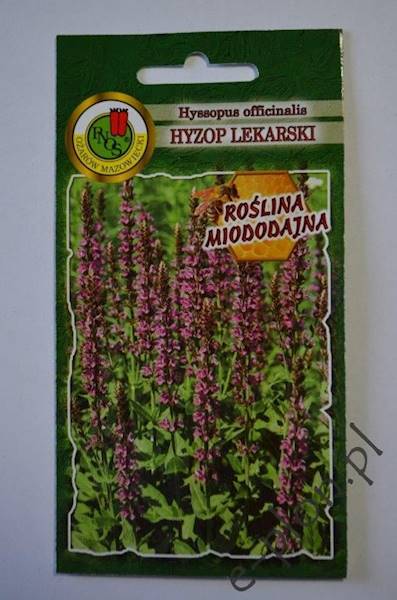 Hyzop lekarski 0,5g /Ożarów/