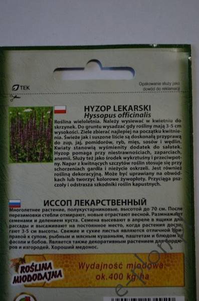Hyzop lekarski 0,5g /Ożarów/