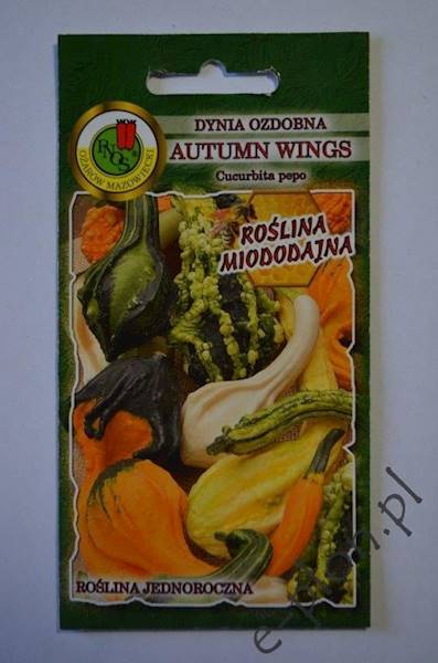 Dynia ozd. Autumn Wings 1g /Ożarów/