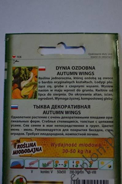 Dynia ozd. Autumn Wings 1g /Ożarów/