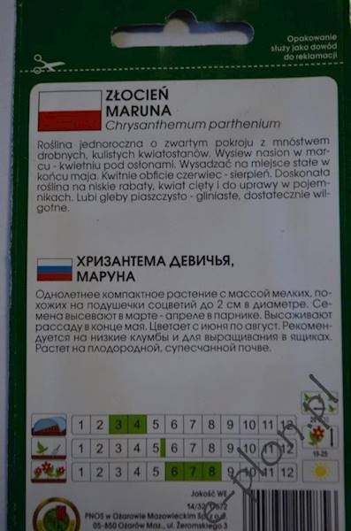 Złocień Maruna 0,3g /Ożarów/