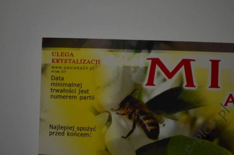 Etykieta samoprzylepna mała akacja E17
