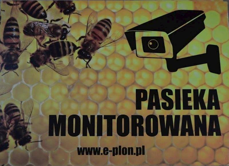 Tabliczka A4 "Pasieka monitorowana" - wzór T14