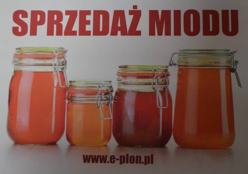 Tabliczka A4 "Sprzedaż miodu" - wzór T36