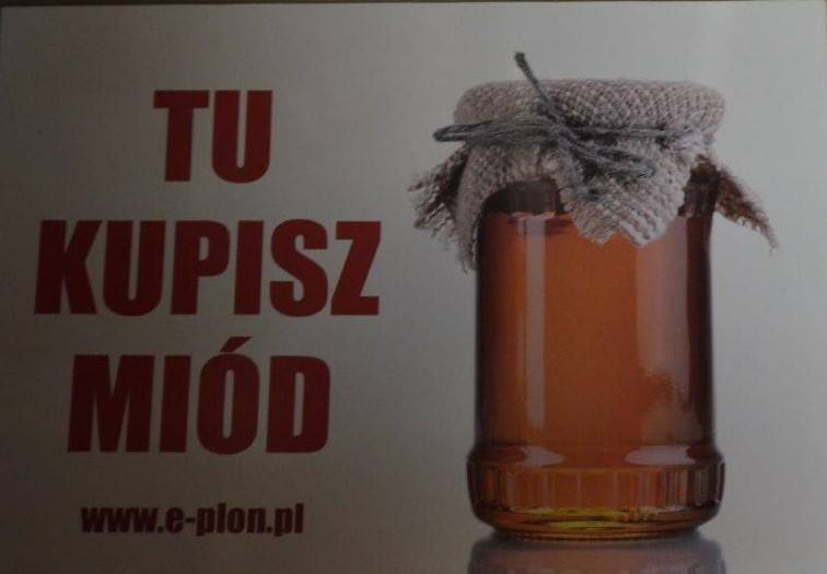 Tabliczka A3 "Tu kupisz miód" - wzór T48