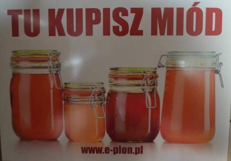 Tabliczka A3 "Tu kupisz miód" - wzór T50