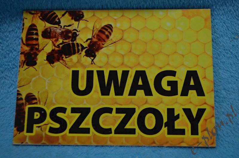 Tabliczka A3 "Uwaga pszczoły" - wzór T53