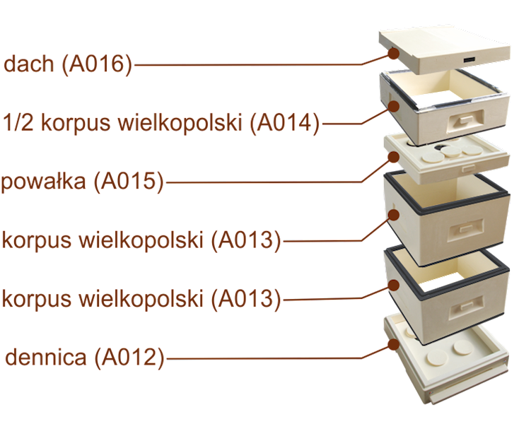 Ul poliur. Wlkp. 12R - Apikoz A011 /pow/