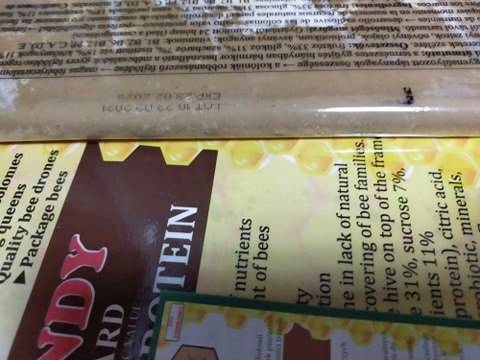 Pasza dla pszczół  - Super Proteiny+ białko 1kg
