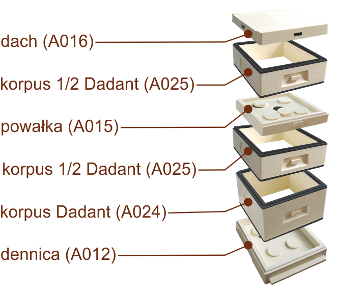 Ul poliur. Dadant 10R - Apikoz A023 /pow/