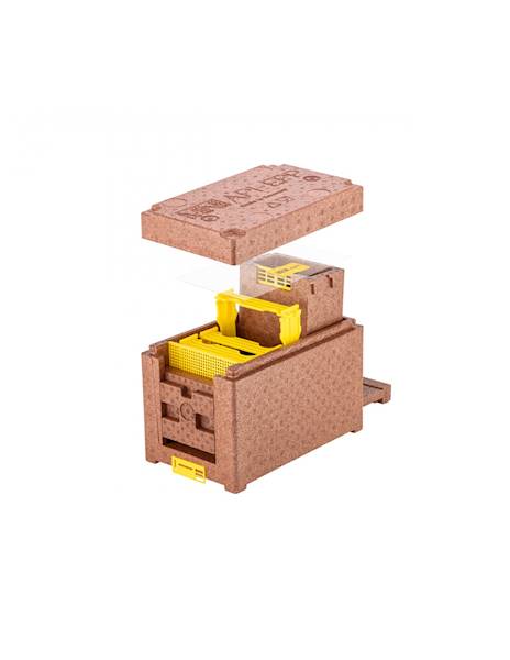 Ulik weselny Mini Api EPP brązowy W1045_B