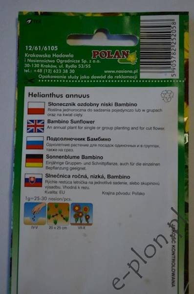 Słonecznik ozdobny niski Bambino 2g /Pol/
