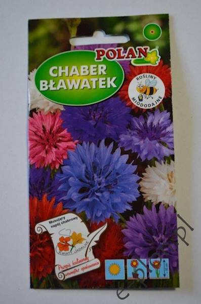 Chaber Bławatek 1g/PL/