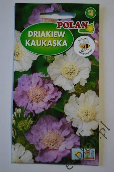 Driakiew wdówka mix.0,5g/PL/