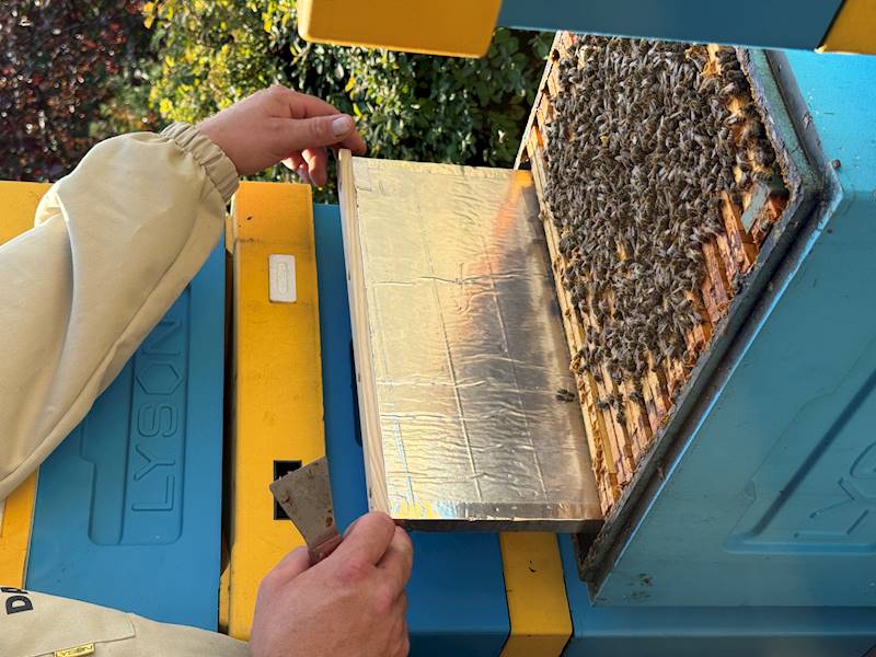 Przegroda zacieśniająca styrop. - aluminium Wlkp 