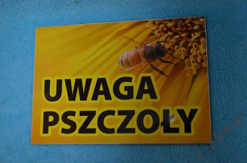 Tabliczka "Uwaga pszczoły" format A5- wzór T1
