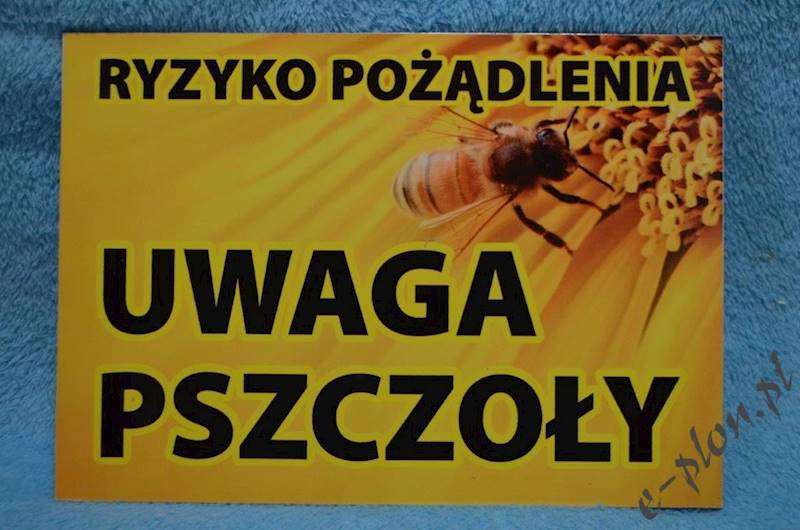 Tabliczka "Uwaga pszczoły" format A4 - wzór T6