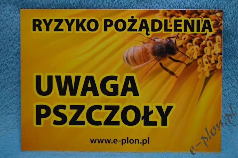 Tabliczka "Uwaga pszczoły" format A4 - wzór T8